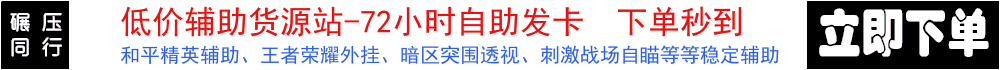 和平精英辅助